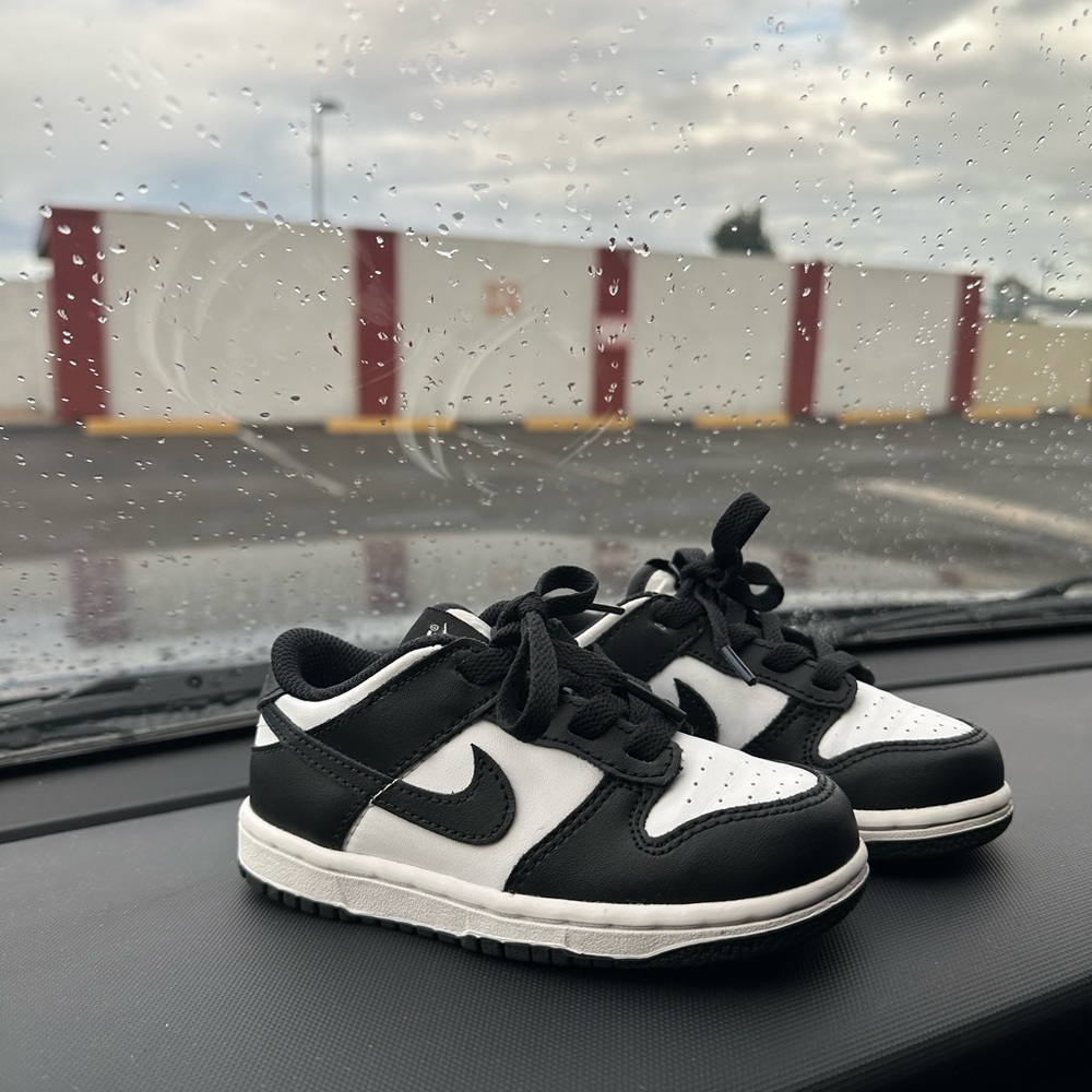 Nike toddler dunks